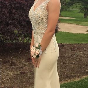 Prom Gown/ Formal Dress (Aria)